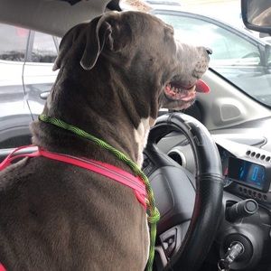 Meet your Posher, Amanda